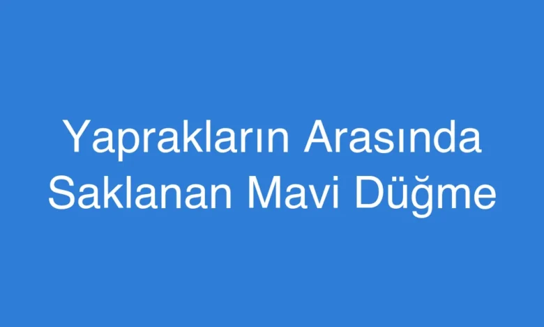 Yaprakların Arasında Saklanan Mavi Düğme