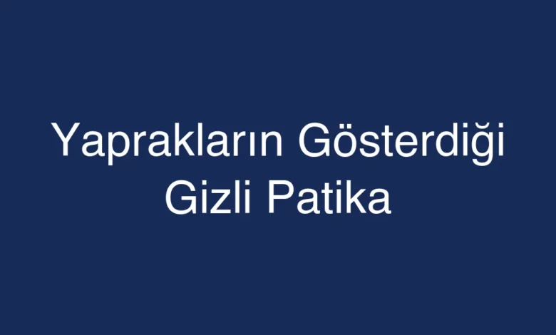 Yaprakların Gösterdiği Gizli Patika