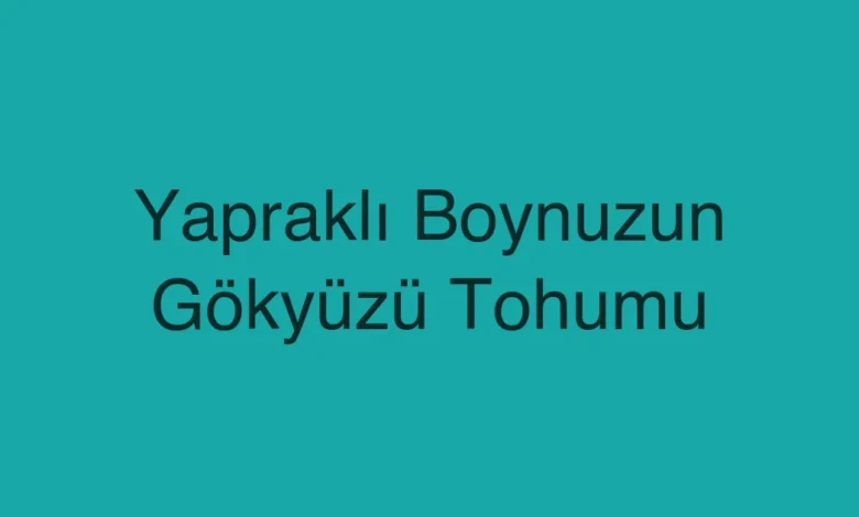 Yapraklı Boynuzun Gökyüzü Tohumu