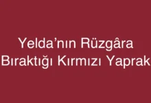 Yelda’nın Rüzgâra Bıraktığı Kırmızı Yaprak