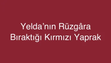 Yelda’nın Rüzgâra Bıraktığı Kırmızı Yaprak