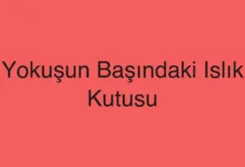 Yokuşun Başındaki Islık Kutusu
