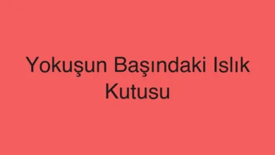Yokuşun Başındaki Islık Kutusu