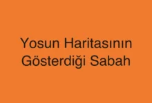 Yosun Haritasının Gösterdiği Sabah