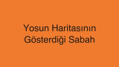 Yosun Haritasının Gösterdiği Sabah