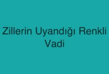 Zillerin Uyandığı Renkli Vadi