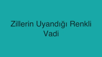 Zillerin Uyandığı Renkli Vadi