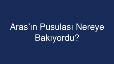 Aras’ın Pusulası Nereye Bakıyordu?