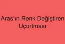 Aras’ın Renk Değiştiren Uçurtması