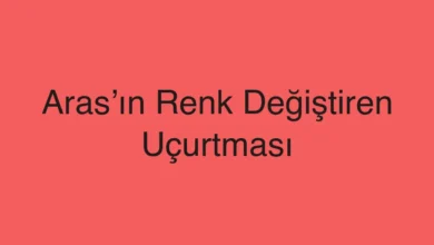 Aras’ın Renk Değiştiren Uçurtması