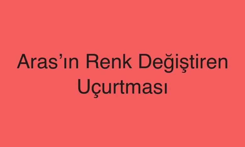 Aras’ın Renk Değiştiren Uçurtması