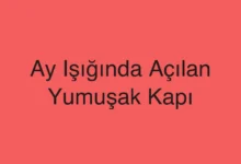 Ay Işığında Açılan Yumuşak Kapı