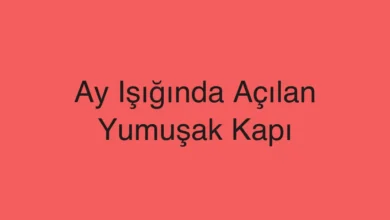 Ay Işığında Açılan Yumuşak Kapı