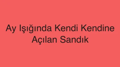 Ay Işığında Kendi Kendine Açılan Sandık