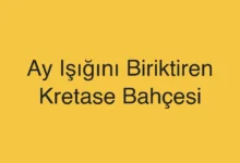 Ay Işığını Biriktiren Kretase Bahçesi