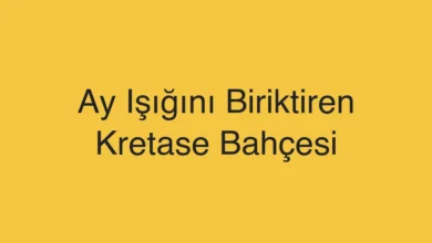 Ay Işığını Biriktiren Kretase Bahçesi