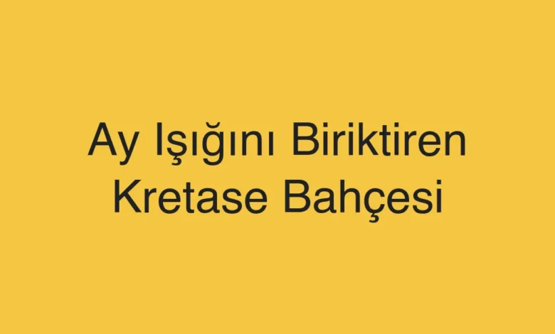 Ay Işığını Biriktiren Kretase Bahçesi