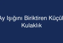 Ay Işığını Biriktiren Küçük Kulaklık