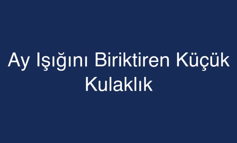 Ay Işığını Biriktiren Küçük Kulaklık