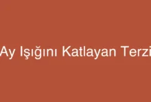 Ay Işığını Katlayan Terzi