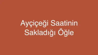 Ayçiçeği Saatinin Sakladığı Öğle