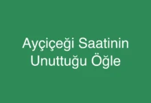Ayçiçeği Saatinin Unuttuğu Öğle