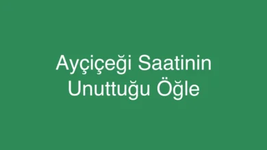 Ayçiçeği Saatinin Unuttuğu Öğle