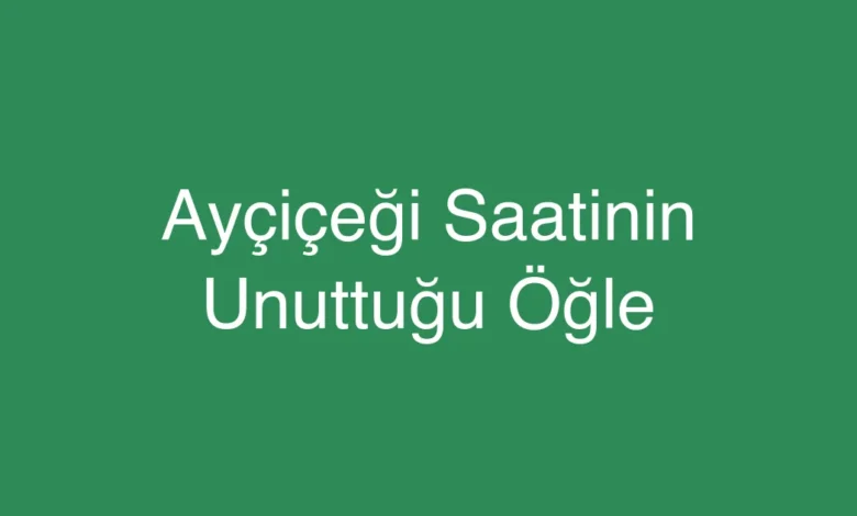 Ayçiçeği Saatinin Unuttuğu Öğle