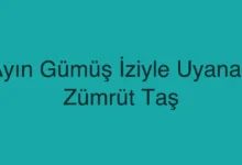 Ayın Gümüş İziyle Uyanan Zümrüt Taş