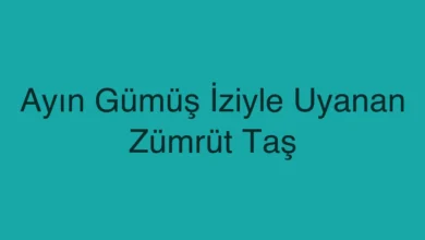 Ayın Gümüş İziyle Uyanan Zümrüt Taş