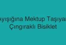 Ayışığına Mektup Taşıyan Çıngıraklı Bisiklet