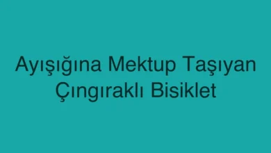 Ayışığına Mektup Taşıyan Çıngıraklı Bisiklet