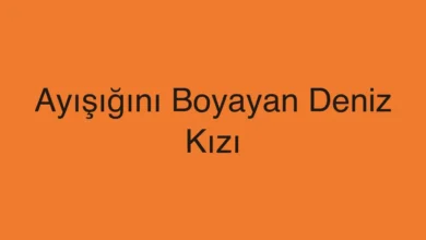 Ayışığını Boyayan Deniz Kızı