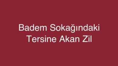 Badem Sokağındaki Tersine Akan Zil