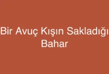 Bir Avuç Kışın Sakladığı Bahar