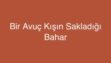 Bir Avuç Kışın Sakladığı Bahar