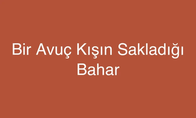 Bir Avuç Kışın Sakladığı Bahar