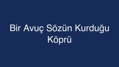 Bir Avuç Sözün Kurduğu Köprü