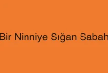 Bir Ninniye Sığan Sabah
