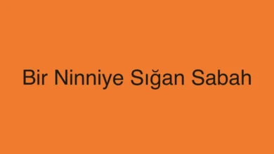 Bir Ninniye Sığan Sabah