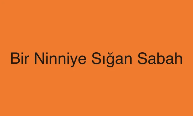 Bir Ninniye Sığan Sabah