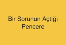 Bir Sorunun Açtığı Pencere
