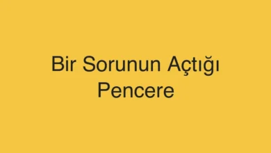 Bir Sorunun Açtığı Pencere