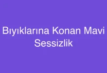 Bıyıklarına Konan Mavi Sessizlik