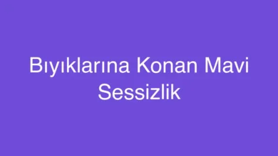Bıyıklarına Konan Mavi Sessizlik