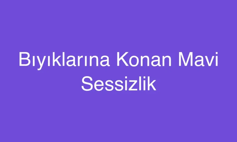 Bıyıklarına Konan Mavi Sessizlik
