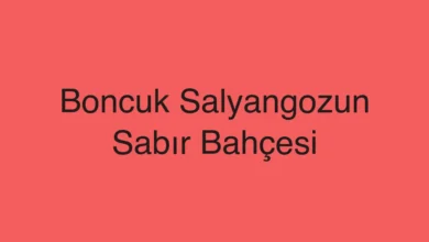 Boncuk Salyangozun Sabır Bahçesi