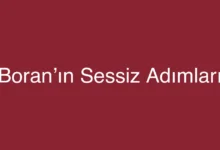 Boran’ın Sessiz Adımları