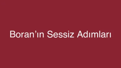 Boran’ın Sessiz Adımları
