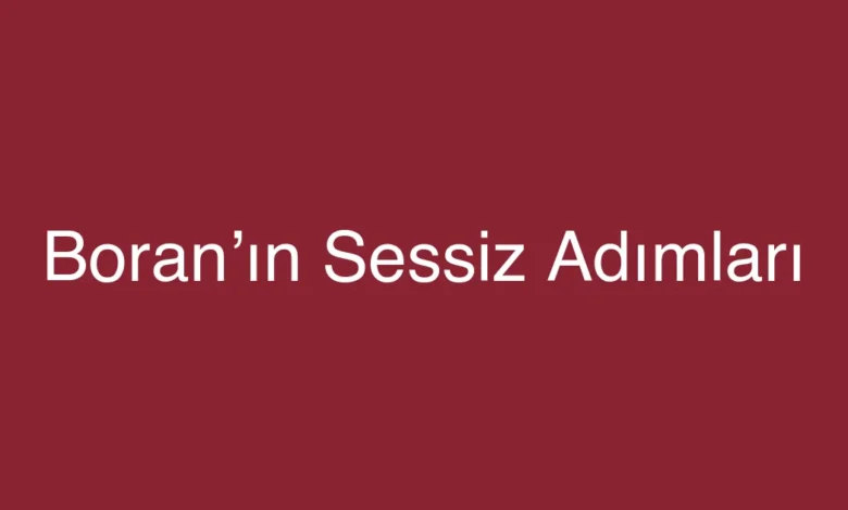 Boran’ın Sessiz Adımları